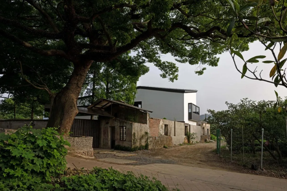 BIM建筑|五樟庭文旅生活馆 / 平介设计+上瑞元筑