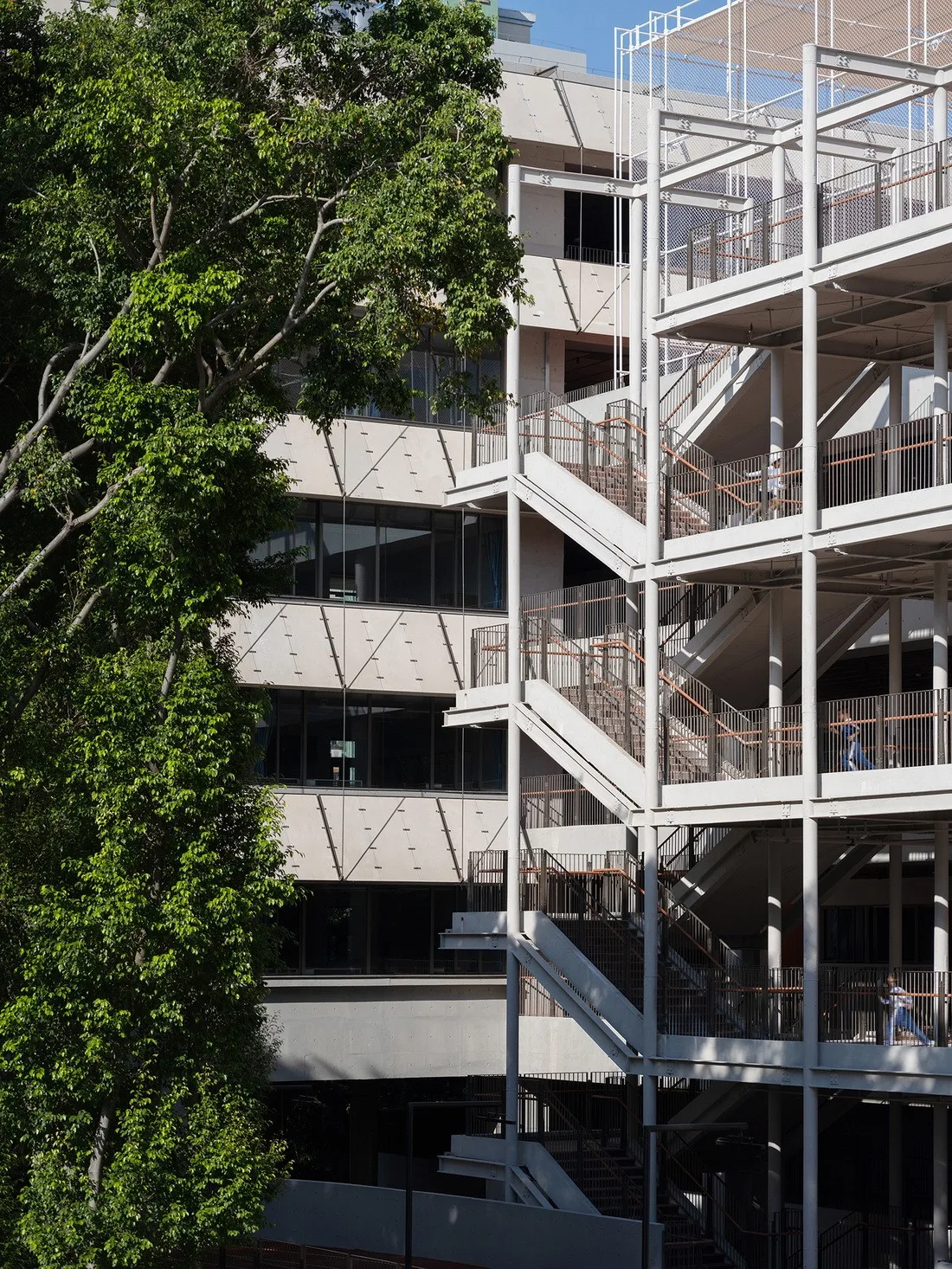 BIM建筑|深圳荔园外国语小学 / 直向建筑