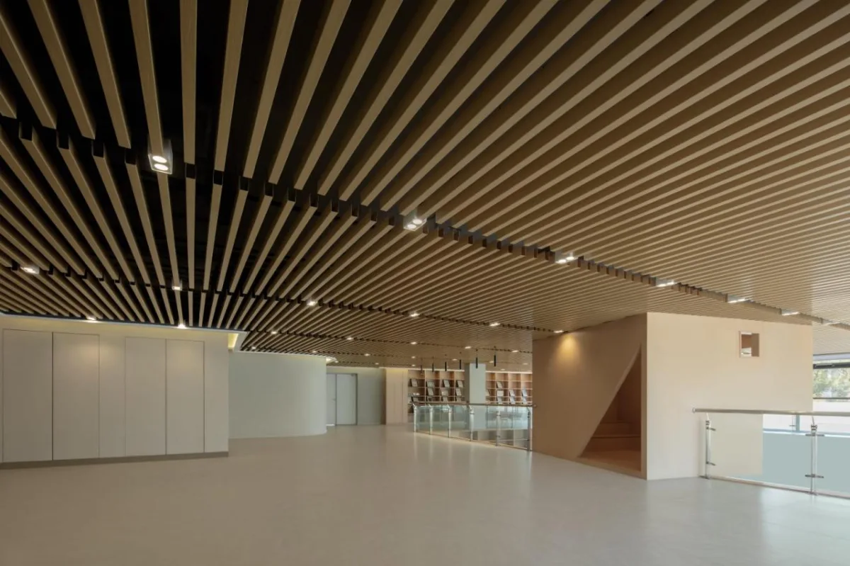 BIM建筑|长沙市南雅中学图书馆 / 中机国际罗劲工作室