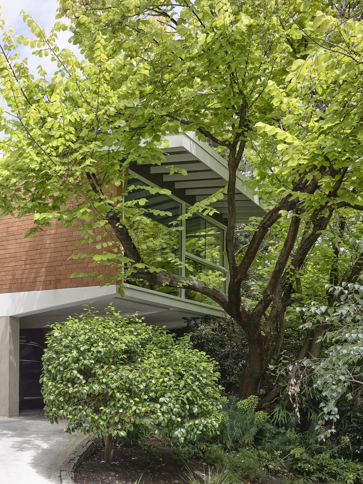 BIM建筑|互联之家 / Albert Mo Architects