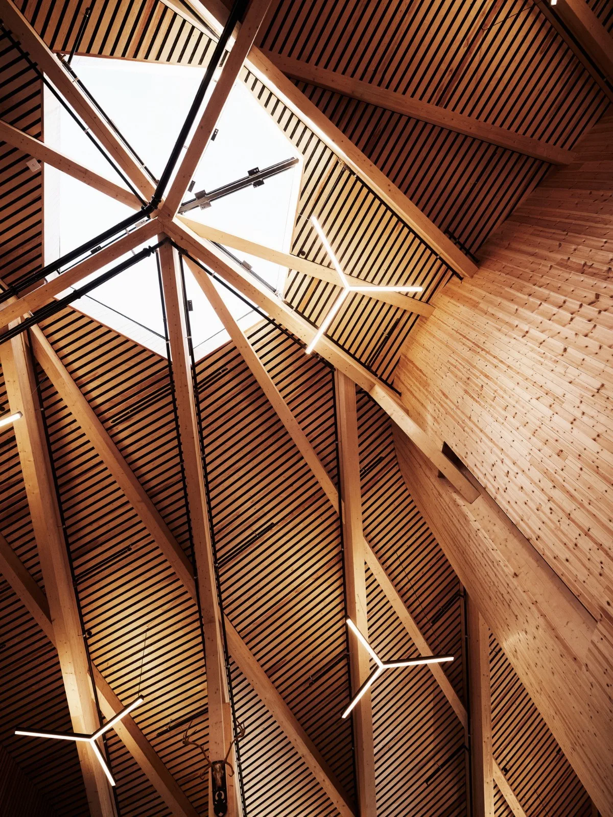 BIM建筑|Čoarvemátta 文化与教育中心 / Snøhetta + 70°N arkitektur + Joar Nango