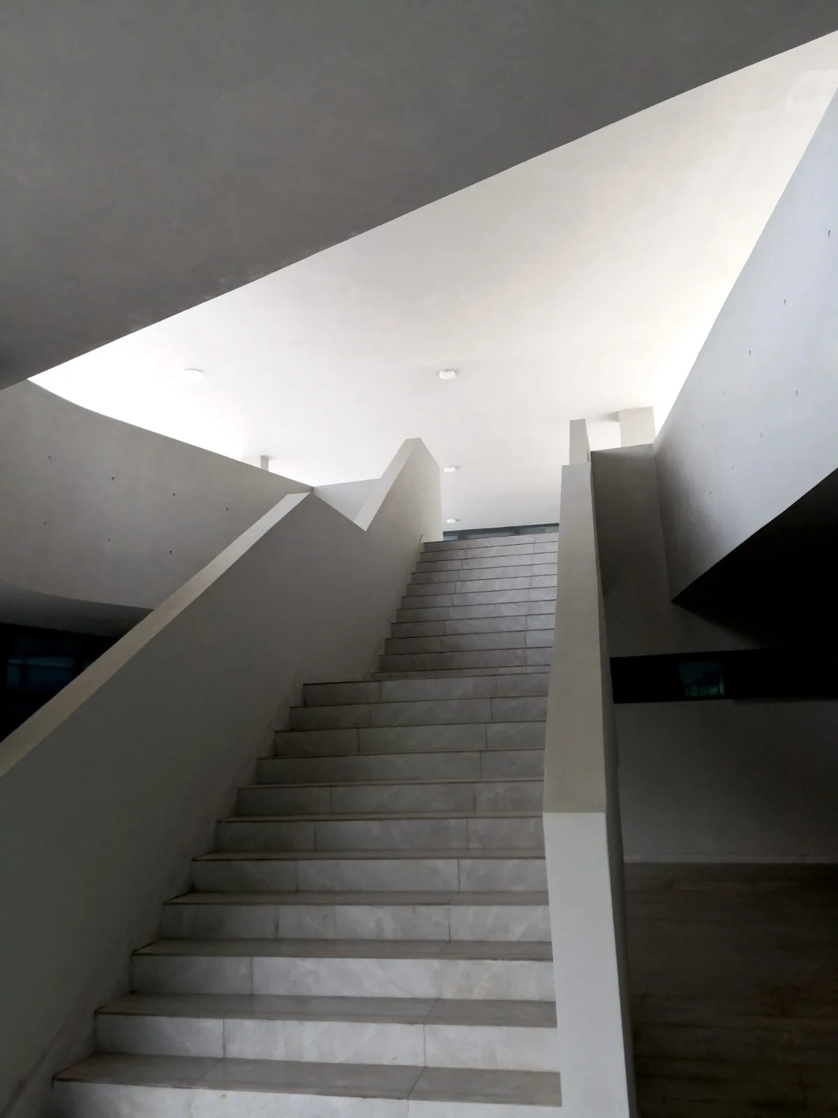 BIM建筑|长沙市南雅中学图书馆 / 中机国际罗劲工作室