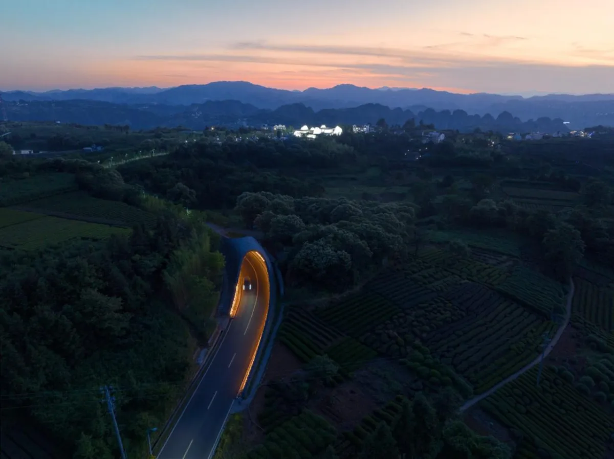 BIM建筑|相遇在山间：下岩贝景区云峰十二重 / 朱培栋-line+建筑事务所