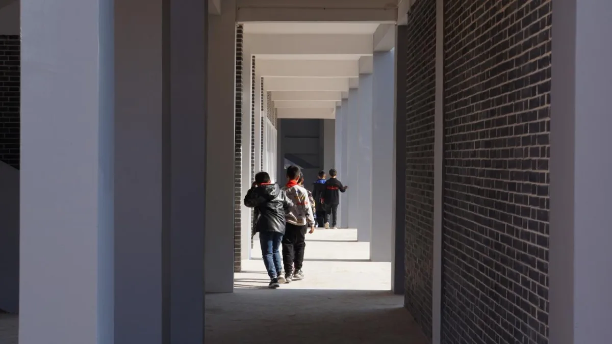 BIM建筑|沿江乡村学校 / DOMAT
