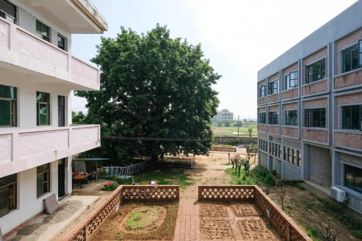 BIM建筑|沿江乡村学校 / DOMAT