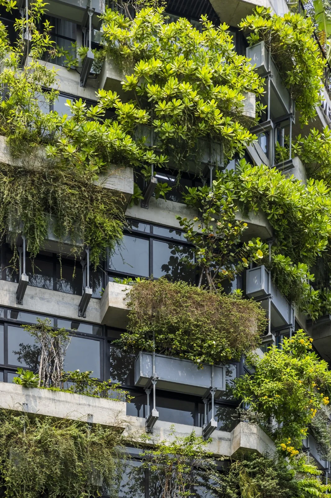 BIM建筑|AEC 4B 外语教育中心 / Ho Khue Architects