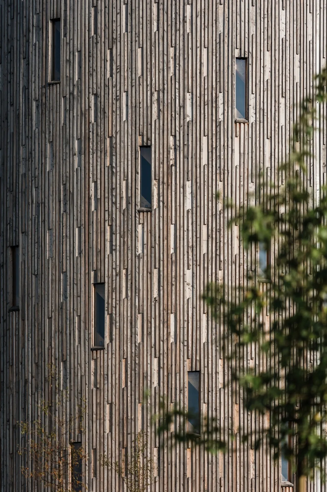 BIM建筑|Nesvačilka 圣母教堂 / RCNKSK