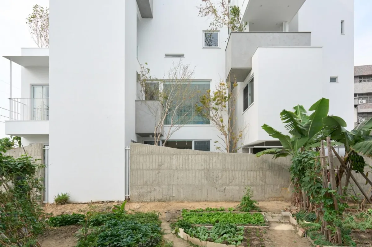BIM建筑|山谷之家 / Soar Design Studio + Ray Architects