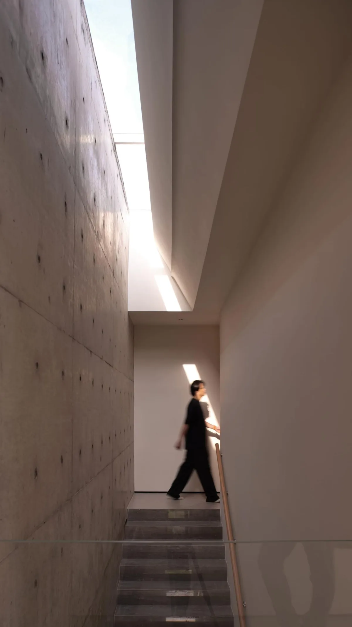 BIM建筑|濬蒙-有光的私宅 上海 / 陆启水建筑师事务所