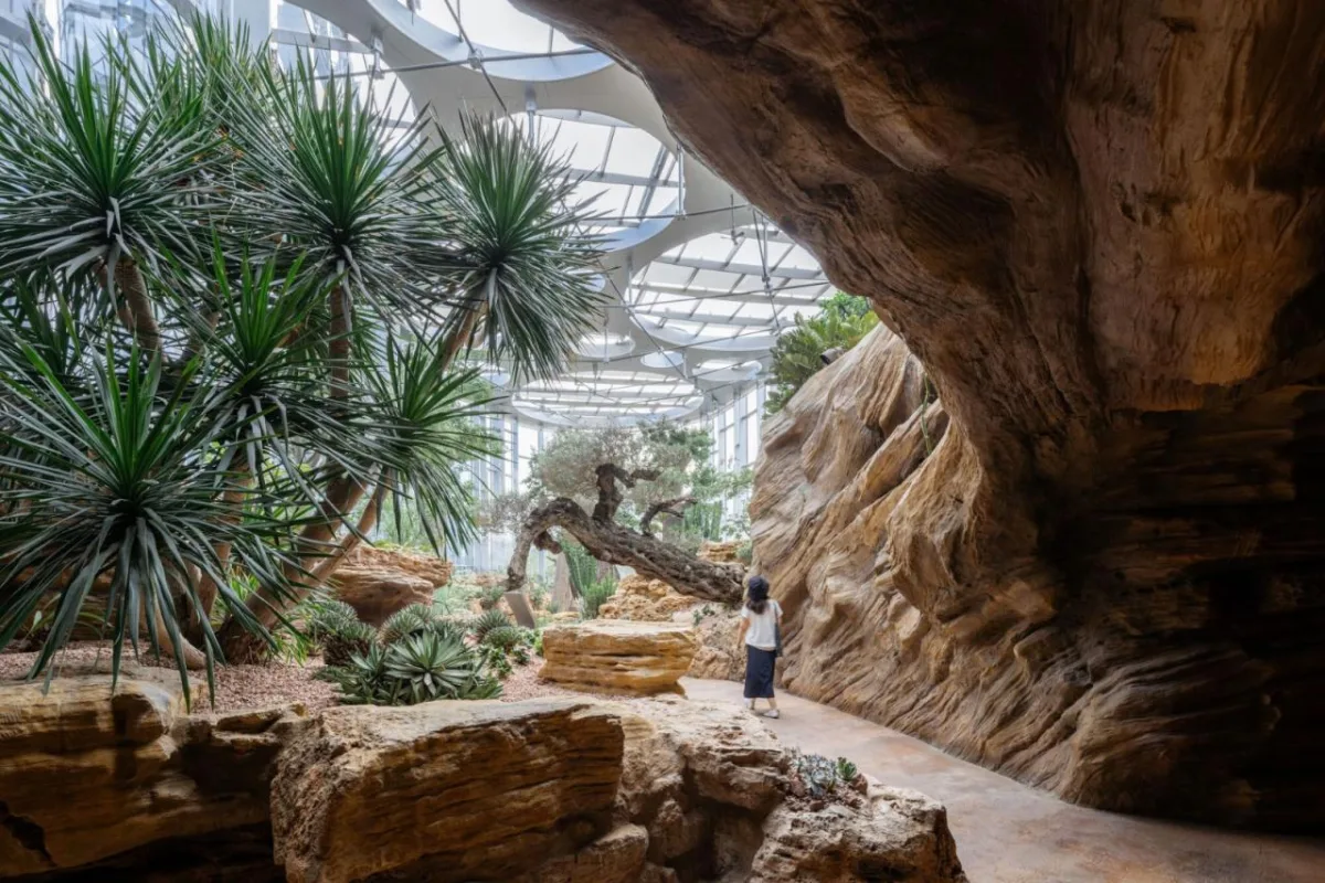 BIM建筑|上海版“疯狂植物园”，亚洲最大温室花园 / Delugan Meissl Associated Architects