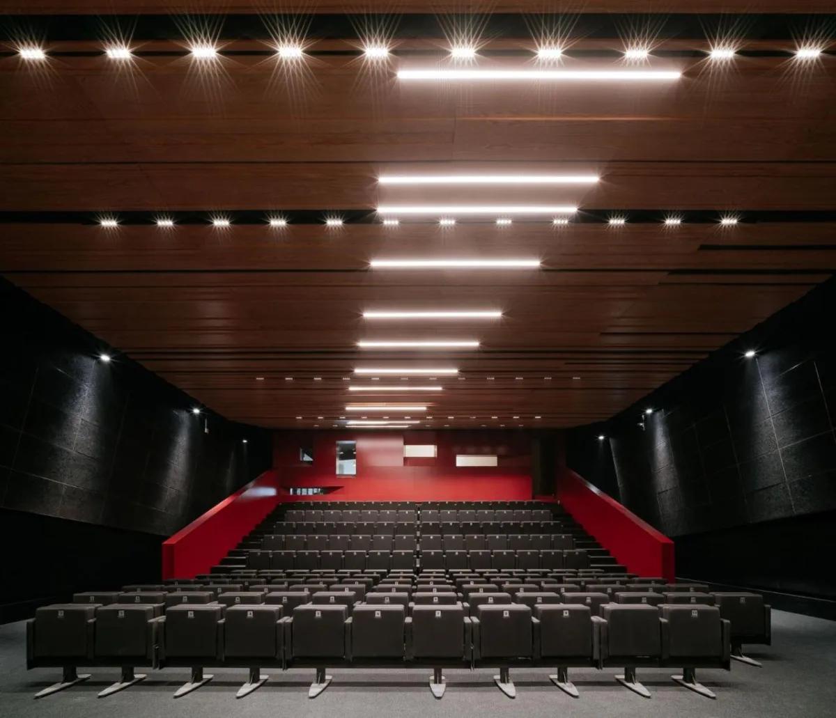 BIM建筑|迪里耶未来艺术中心 / Schiattarella Associati