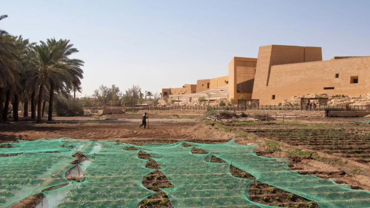 BIM建筑|迪里耶未来艺术中心 / Schiattarella Associati