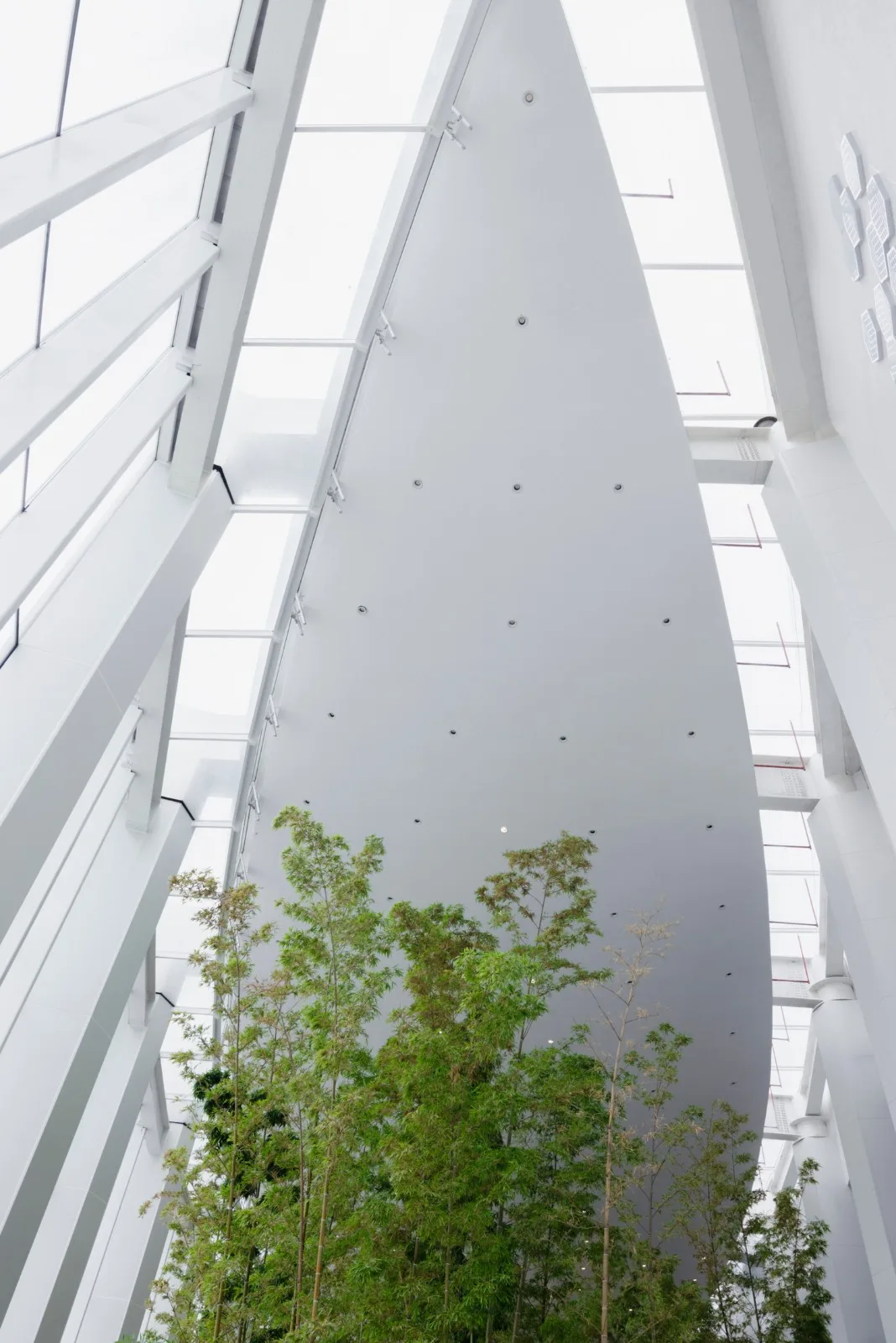 BIM建筑|武汉东西湖文化中心 / 中国院大器工作室