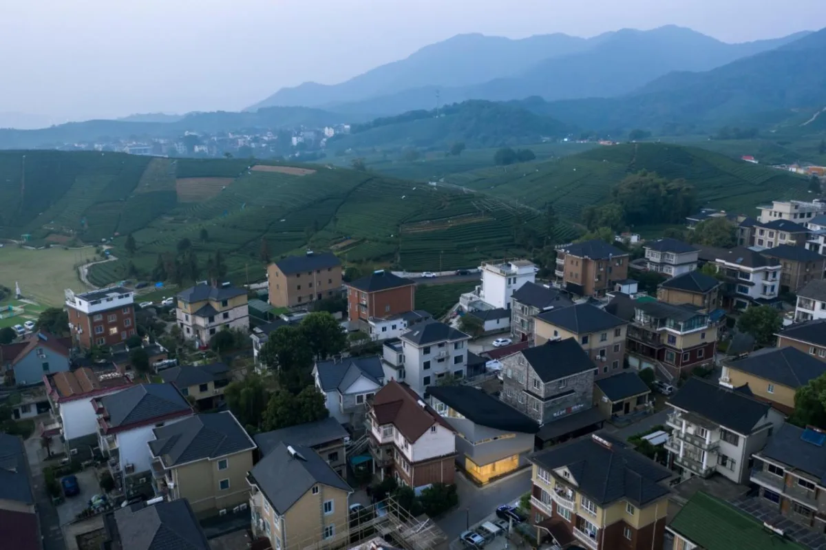 BIM建筑|何家村老年之家 / 由牧建筑