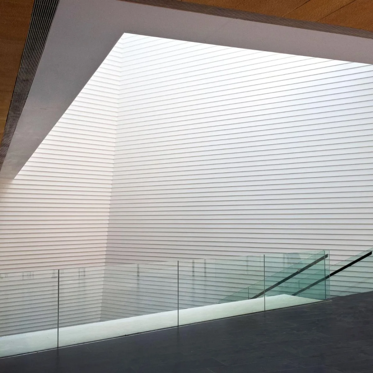 BIM建筑|迪里耶未来艺术中心 / Schiattarella Associati
