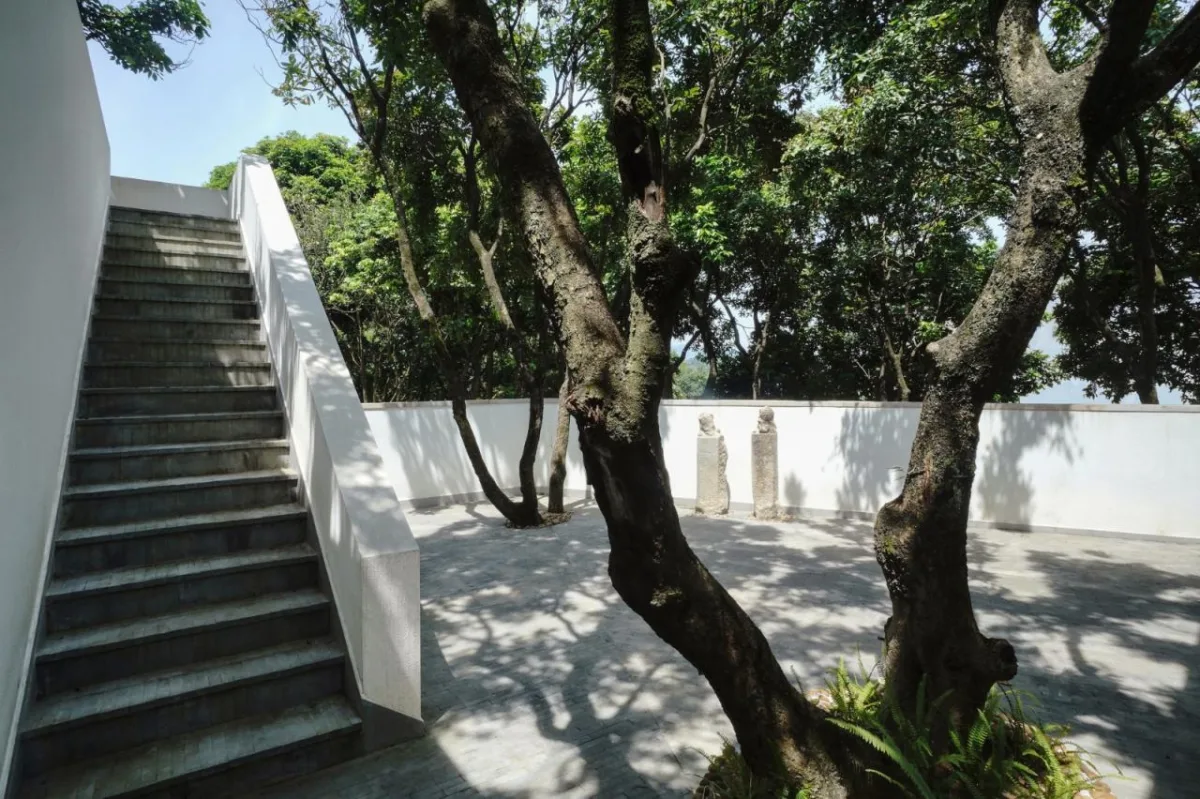 BIM建筑|龙眼树下的院子 / 在场建筑