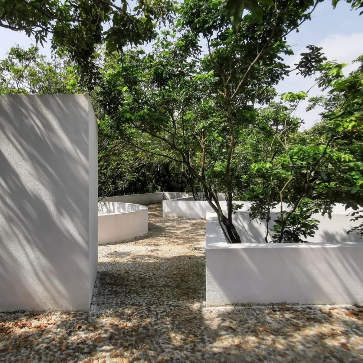 BIM建筑|龙眼树下的院子 / 在场建筑