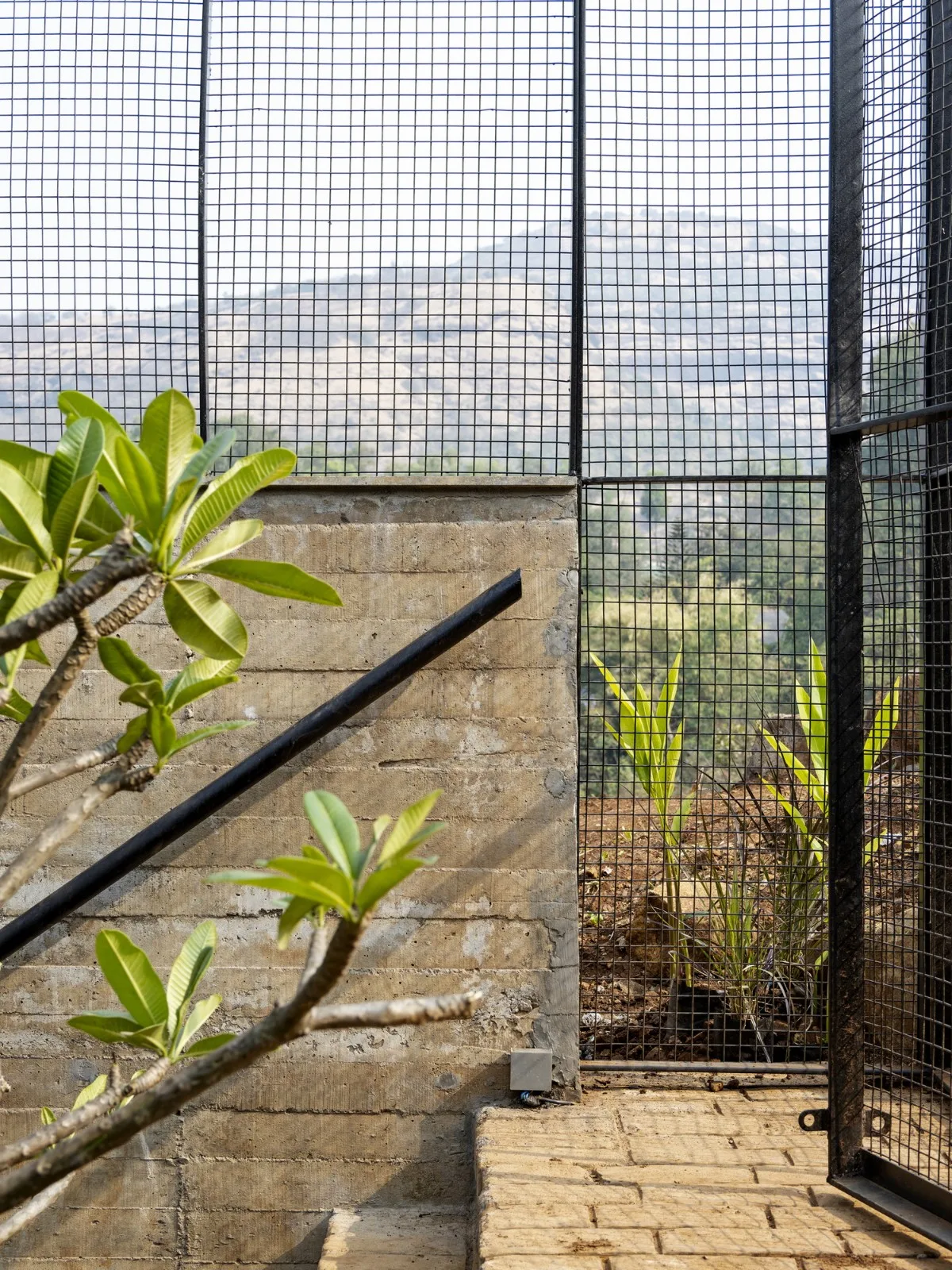BIM建筑|斜屋 / Red Brick Studio