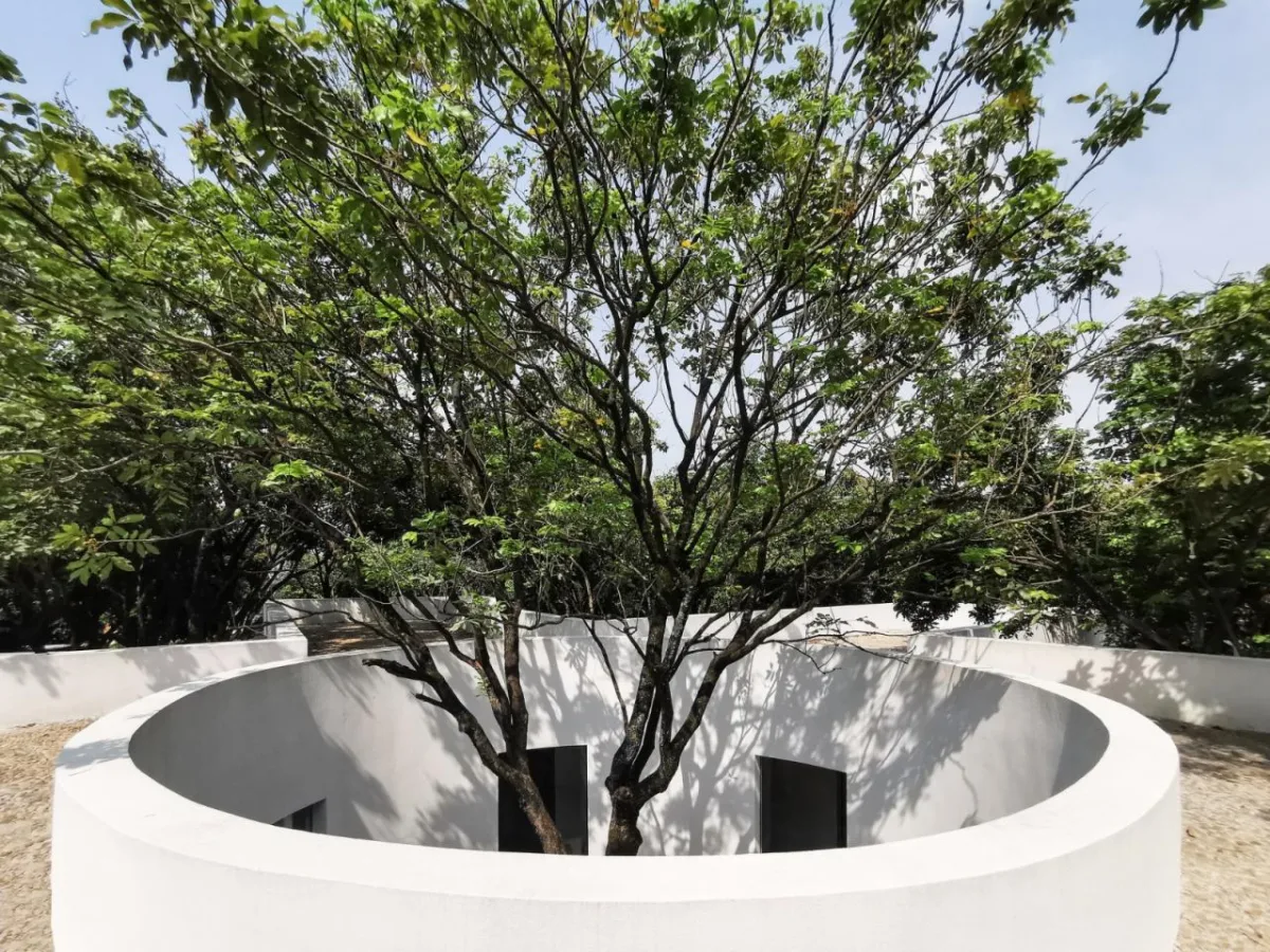 BIM建筑|龙眼树下的院子 / 在场建筑