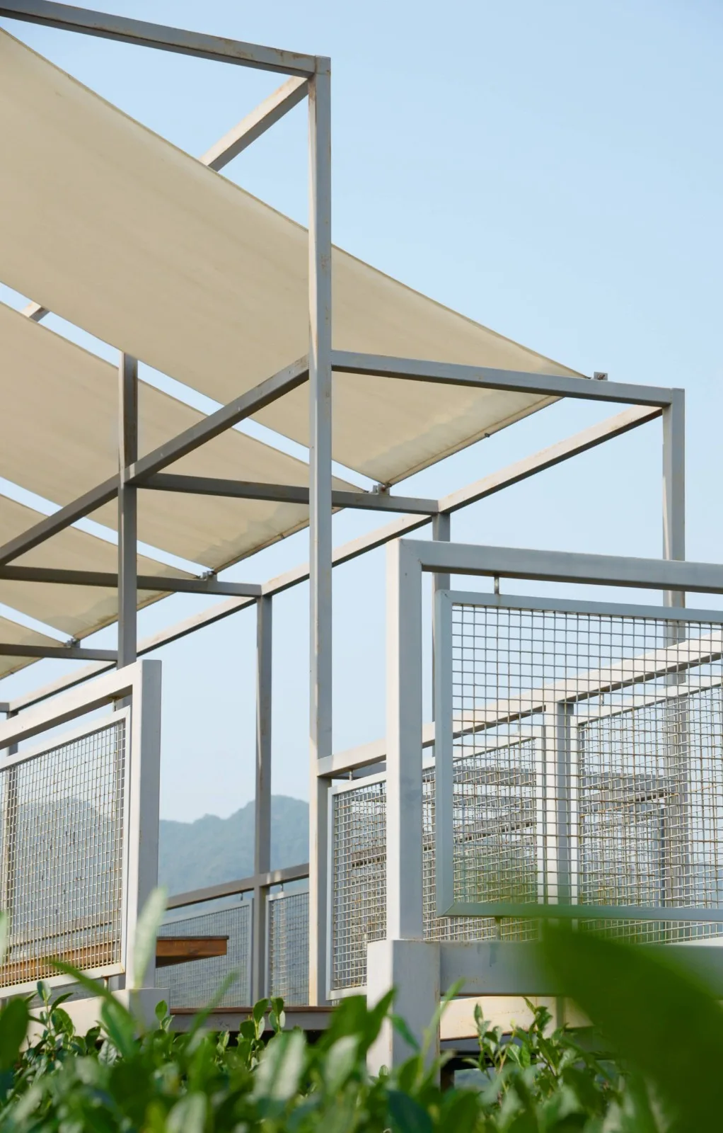 BIM建筑|长埭村艺术乡建系列-茶山浮亭 / 由牧建筑