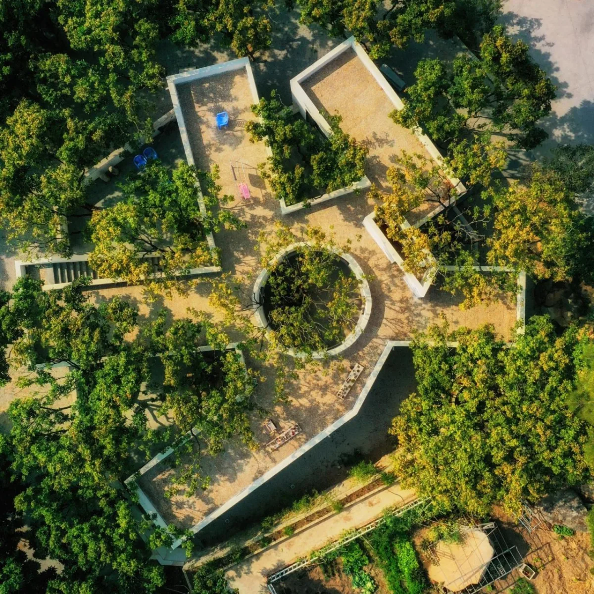 BIM建筑|龙眼树下的院子 / 在场建筑