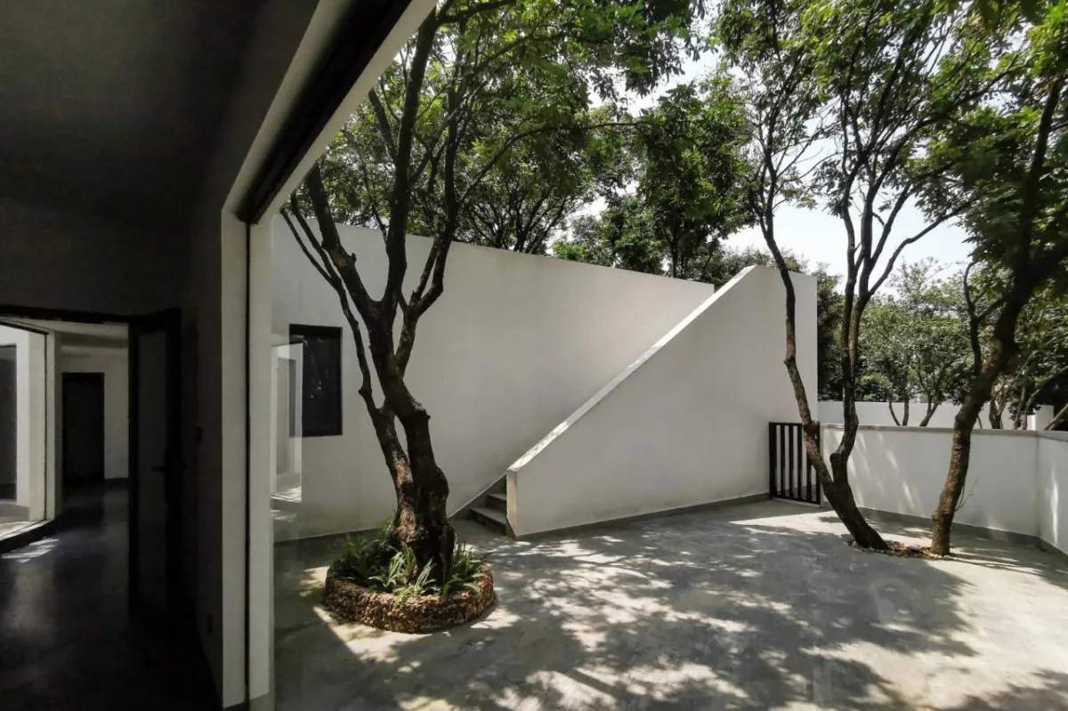 BIM建筑|龙眼树下的院子 / 在场建筑