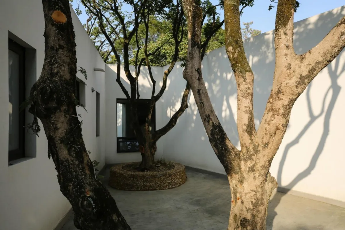 BIM建筑|龙眼树下的院子 / 在场建筑