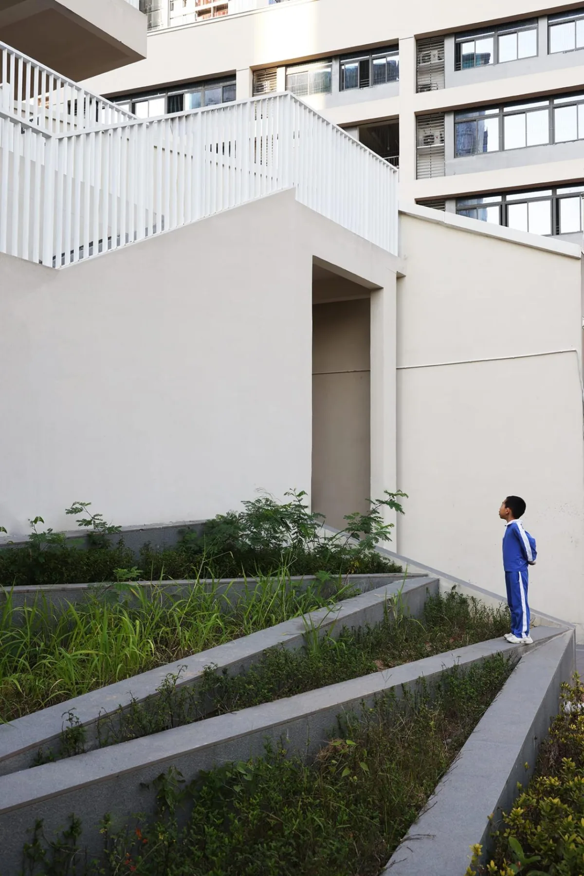 BIM建筑|深圳市龙华区清泉外国语学校初中部 / 一境建筑设计