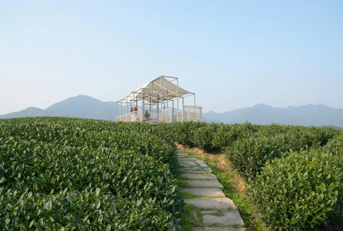 BIM建筑|长埭村艺术乡建系列-茶山浮亭 / 由牧建筑