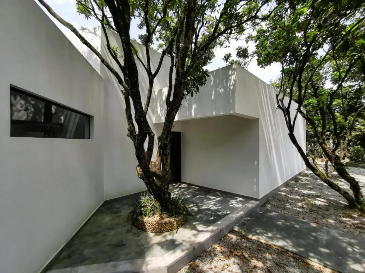 BIM建筑|龙眼树下的院子 / 在场建筑