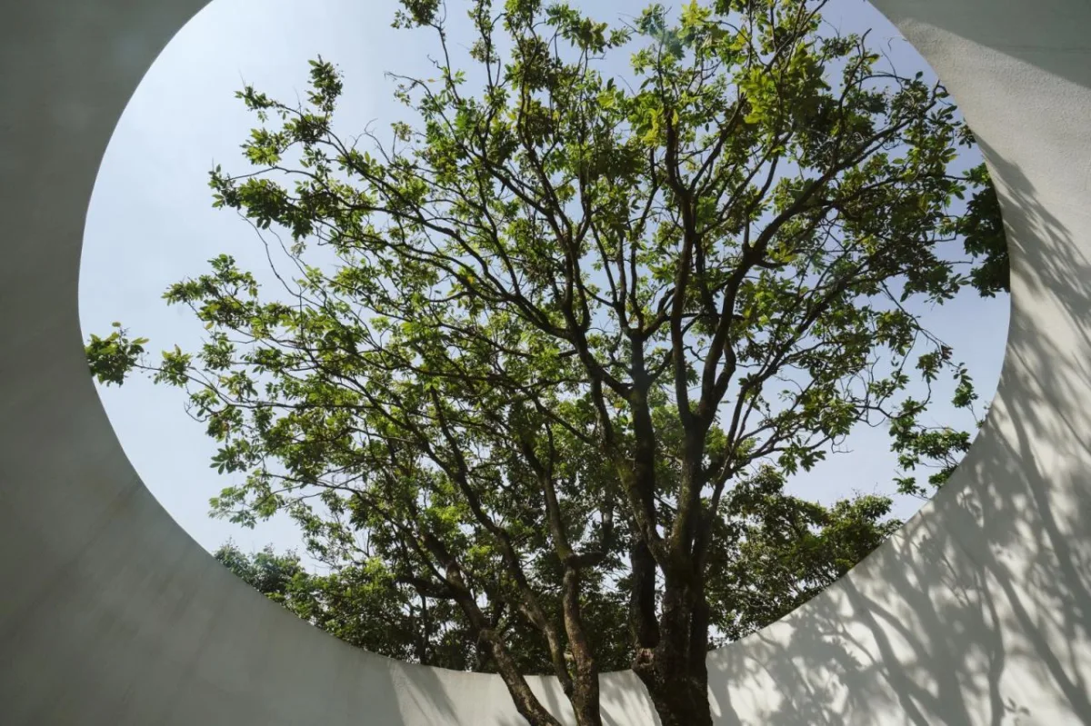 BIM建筑|龙眼树下的院子 / 在场建筑