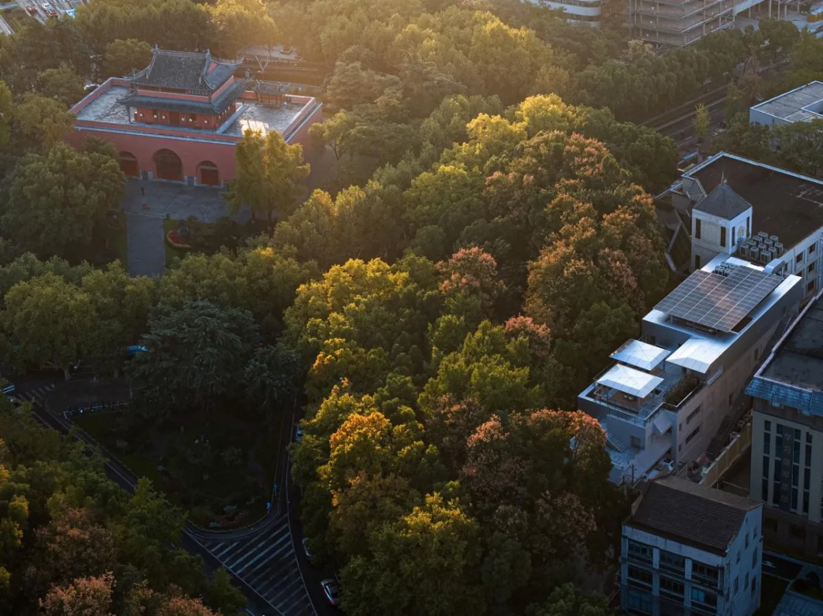 BIM建筑|南京鼓楼锦上 OCC 餐厅 / BUZZ 建筑事务所
