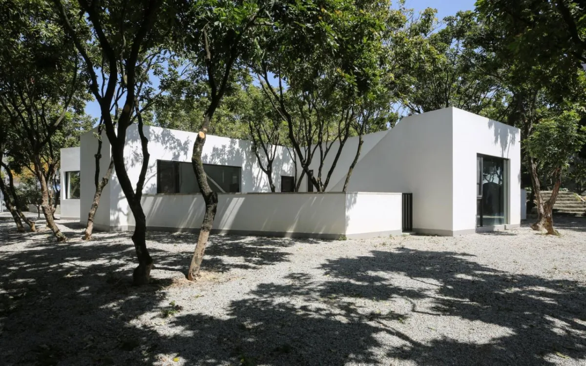 BIM建筑|龙眼树下的院子 / 在场建筑