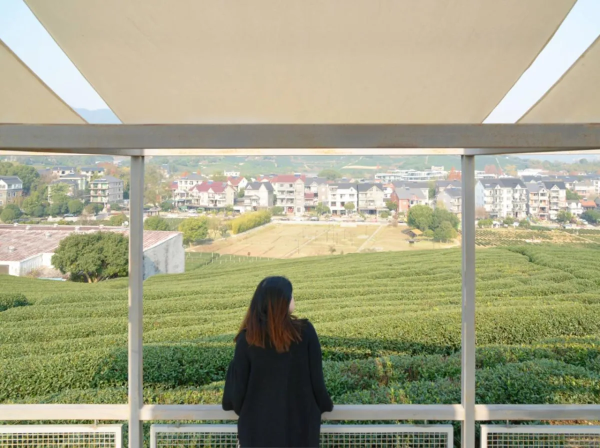 BIM建筑|长埭村艺术乡建系列-茶山浮亭 / 由牧建筑