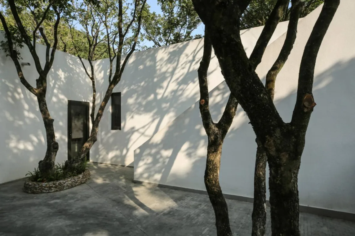 BIM建筑|龙眼树下的院子 / 在场建筑
