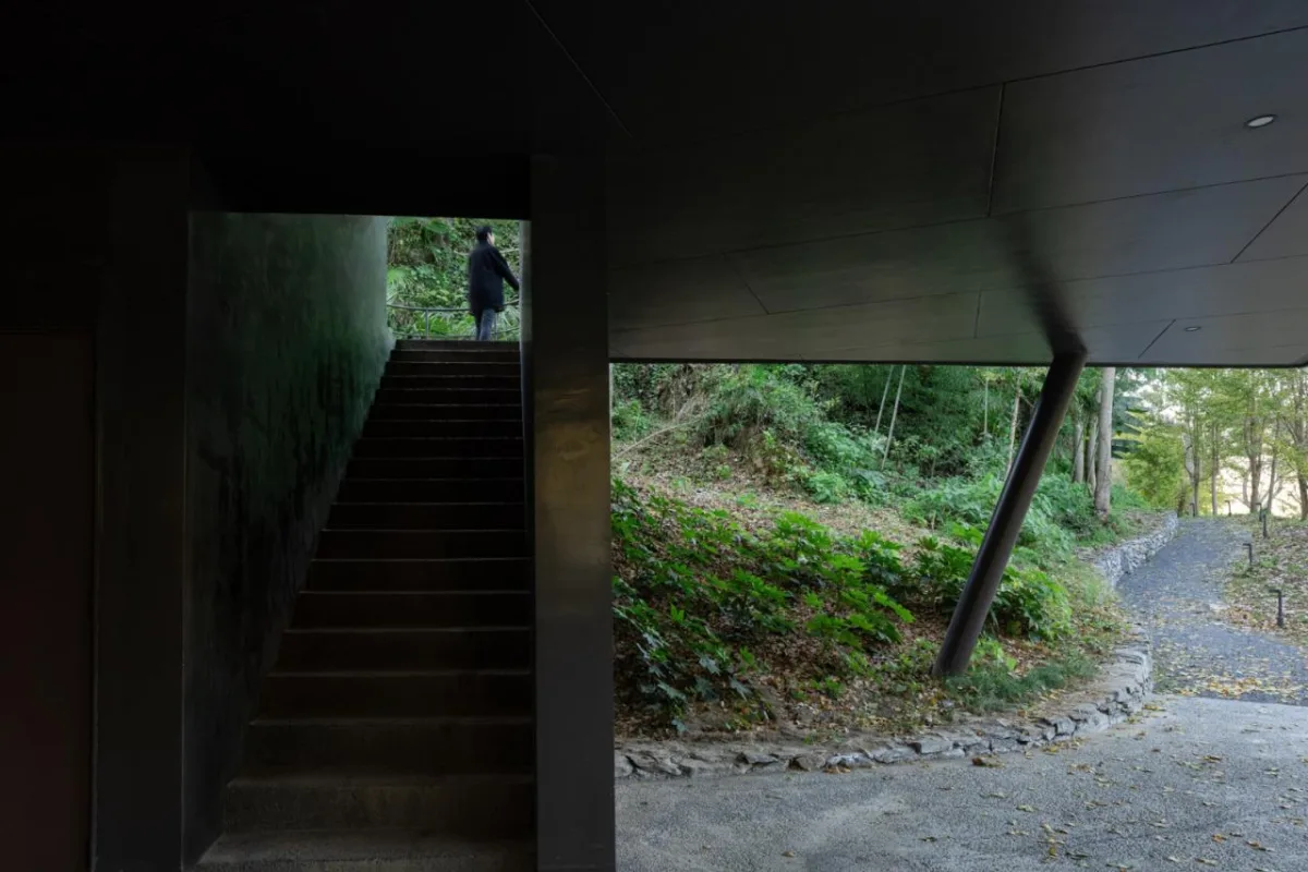BIM建筑|大乐之野·银杏谷 / 末广建筑