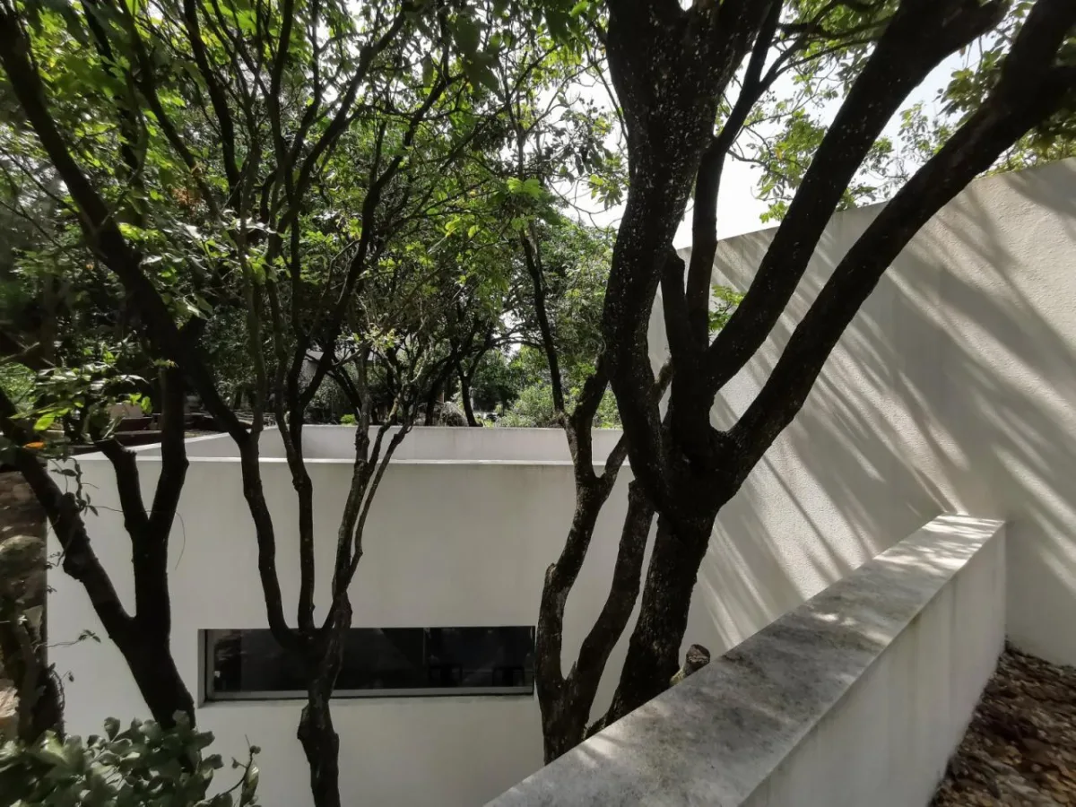 BIM建筑|龙眼树下的院子 / 在场建筑
