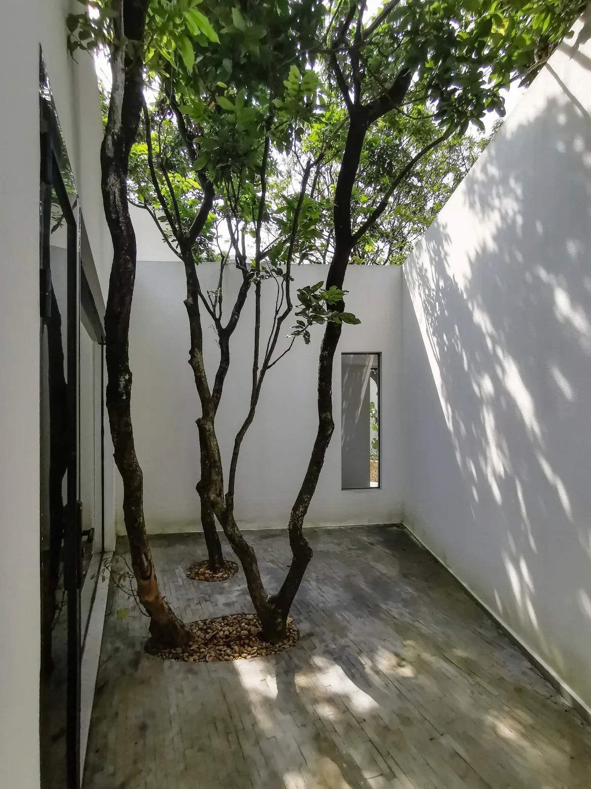 BIM建筑|龙眼树下的院子 / 在场建筑