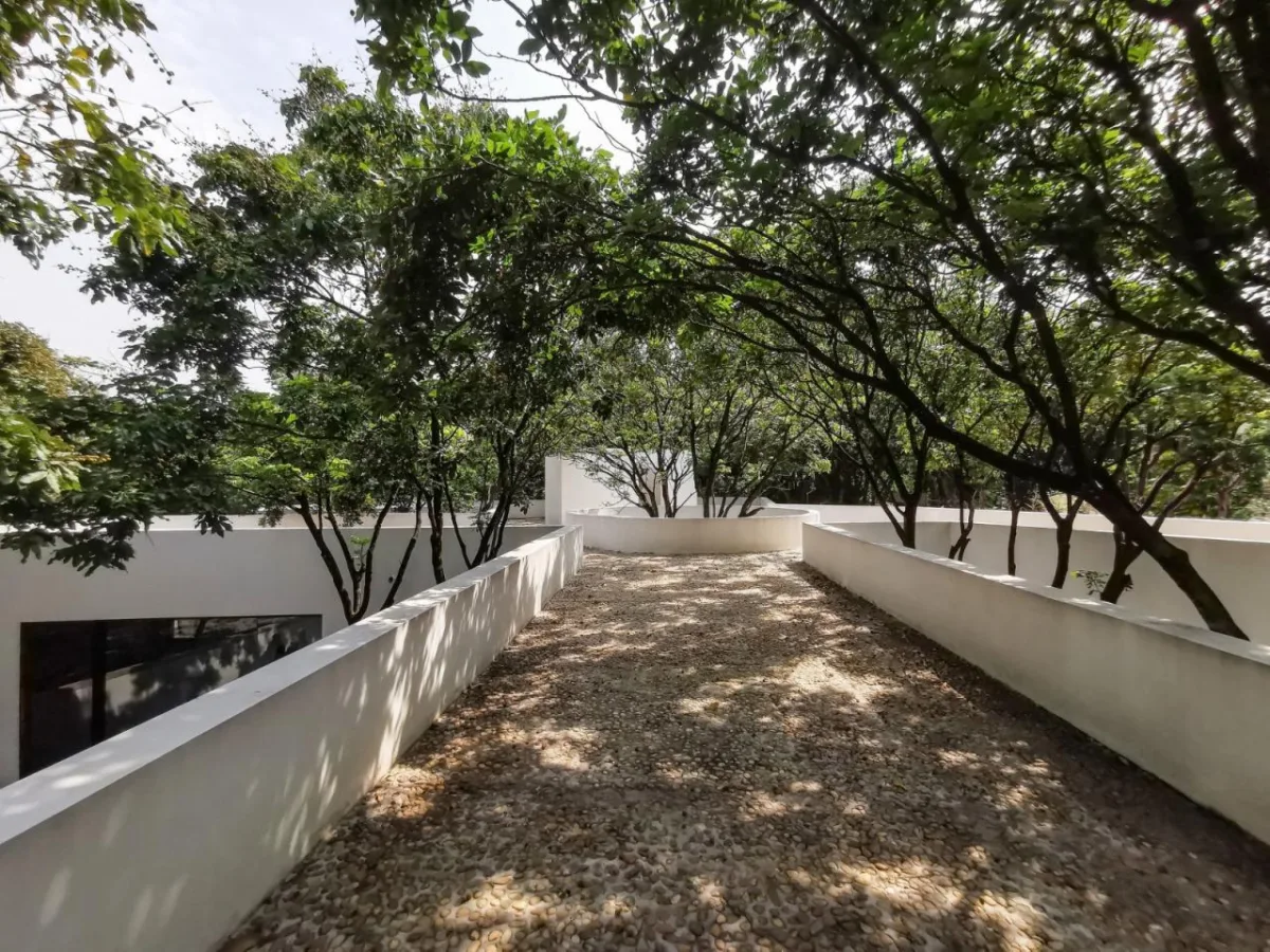 BIM建筑|龙眼树下的院子 / 在场建筑