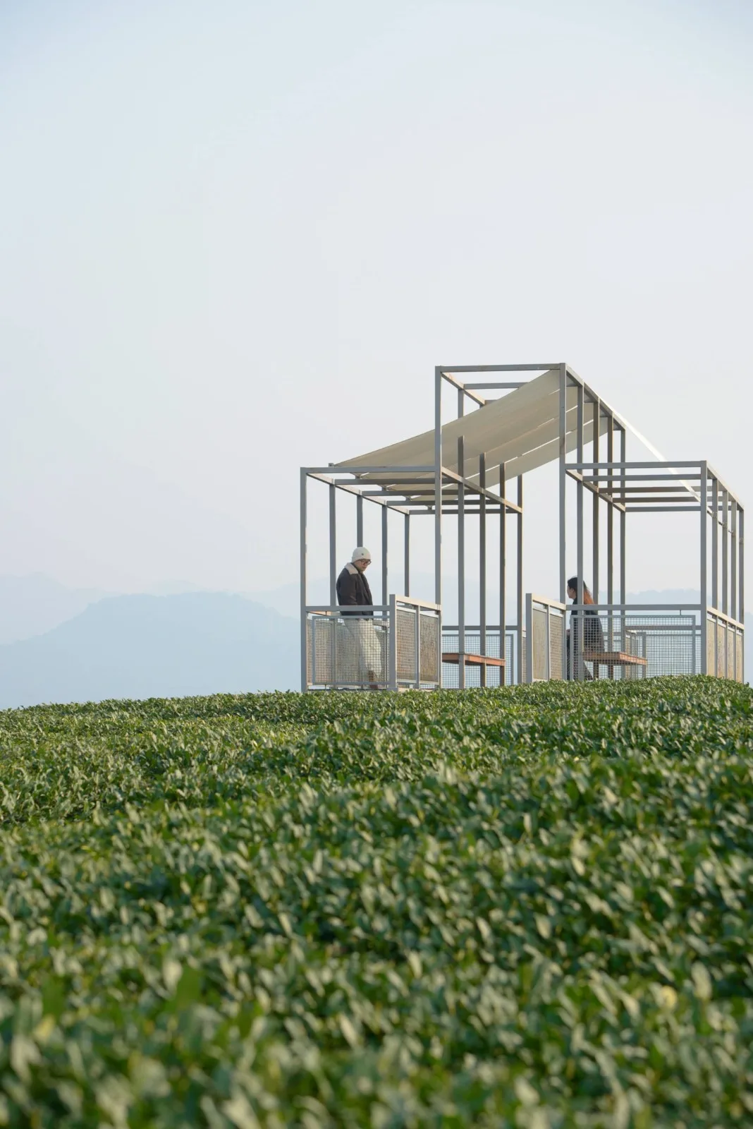 BIM建筑|长埭村艺术乡建系列-茶山浮亭 / 由牧建筑