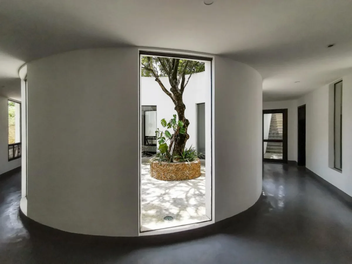 BIM建筑|龙眼树下的院子 / 在场建筑