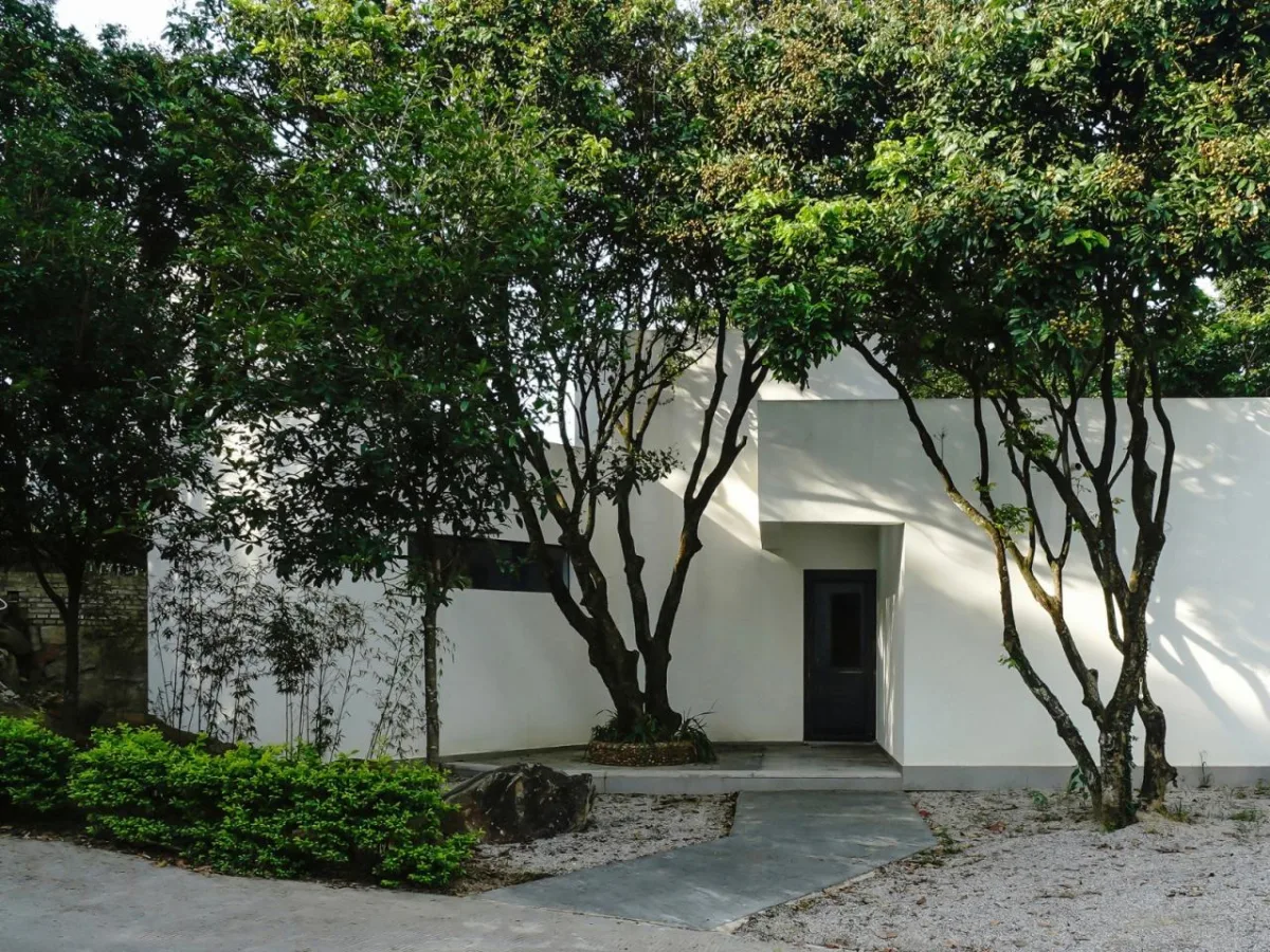 BIM建筑|龙眼树下的院子 / 在场建筑