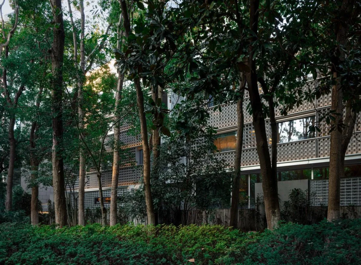 BIM建筑|南京鼓楼锦上 OCC 餐厅 / BUZZ 建筑事务所