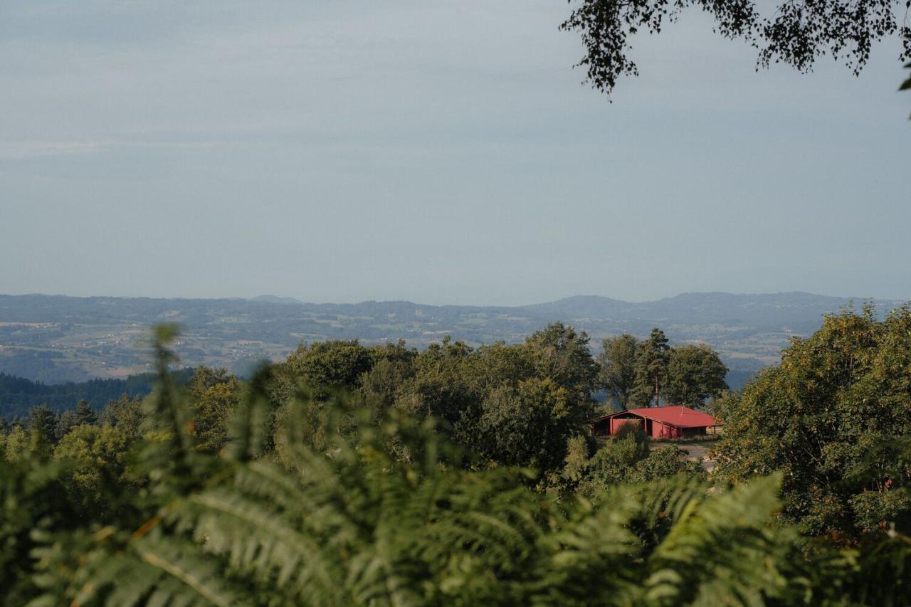 隐藏在葱郁壮丽环境中的红色宝石宁静的度假屋设计 隐藏在葱郁壮丽环境中的红色宝石宁静的度假屋设计